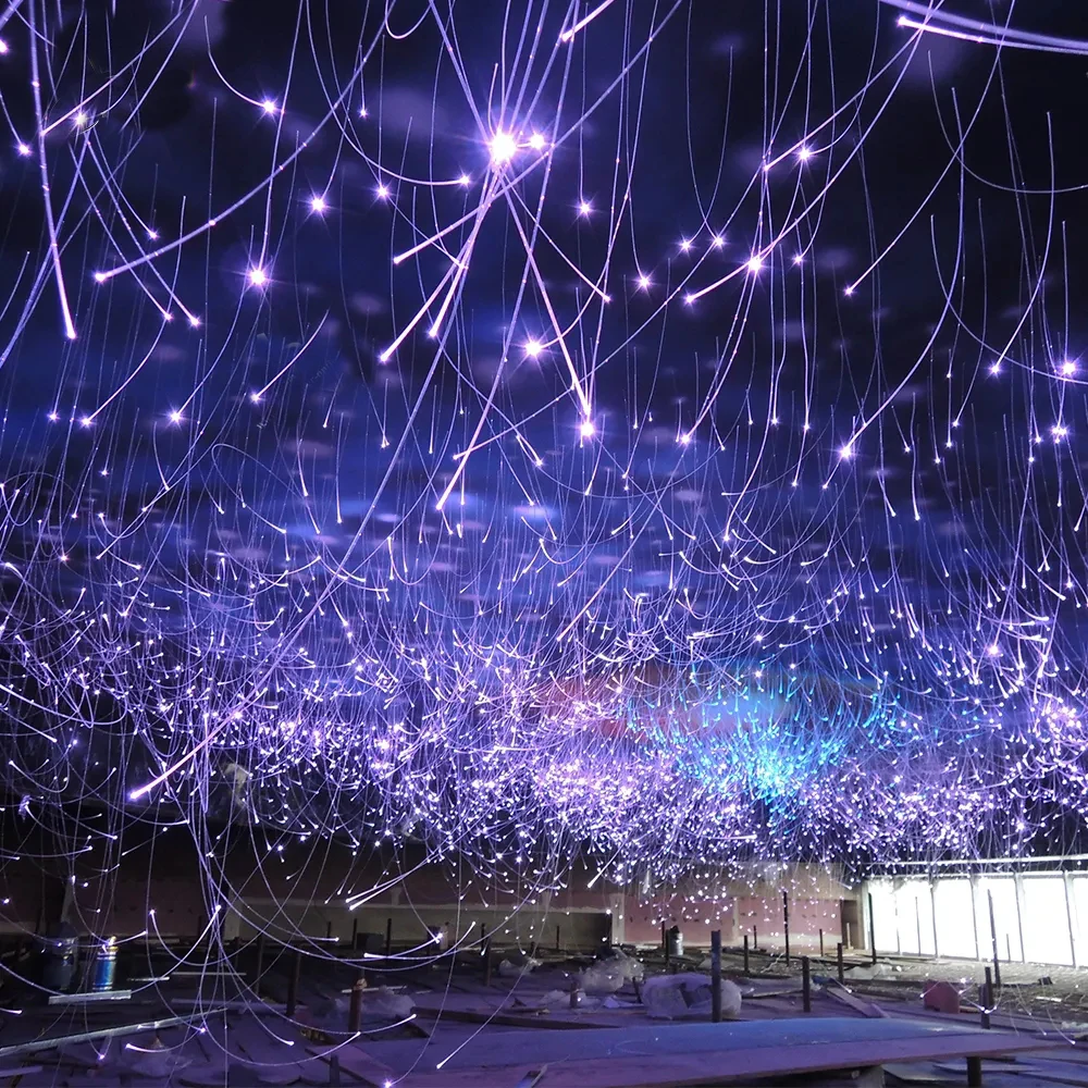 Decoration Remote Control  Fiber Starry Light For Ceiling Roof Top Chandelier Ceiling Decor