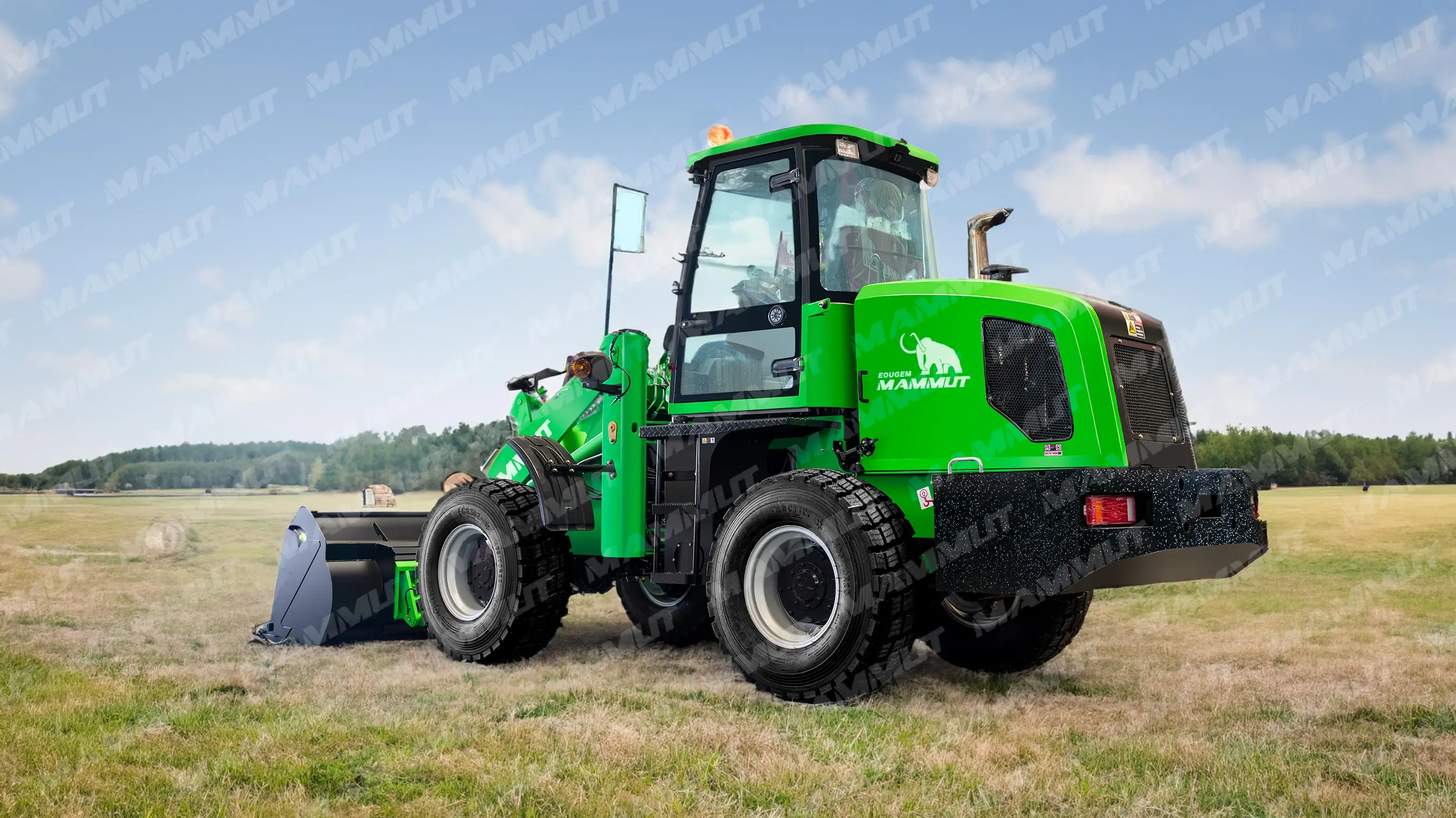 mammut Wheel Drive Epa Cheapest China Articulated Wheel Loader Mini /small /medium /big O.8 /1 /2 /2.2 /2.5 / 3 Ton Loader