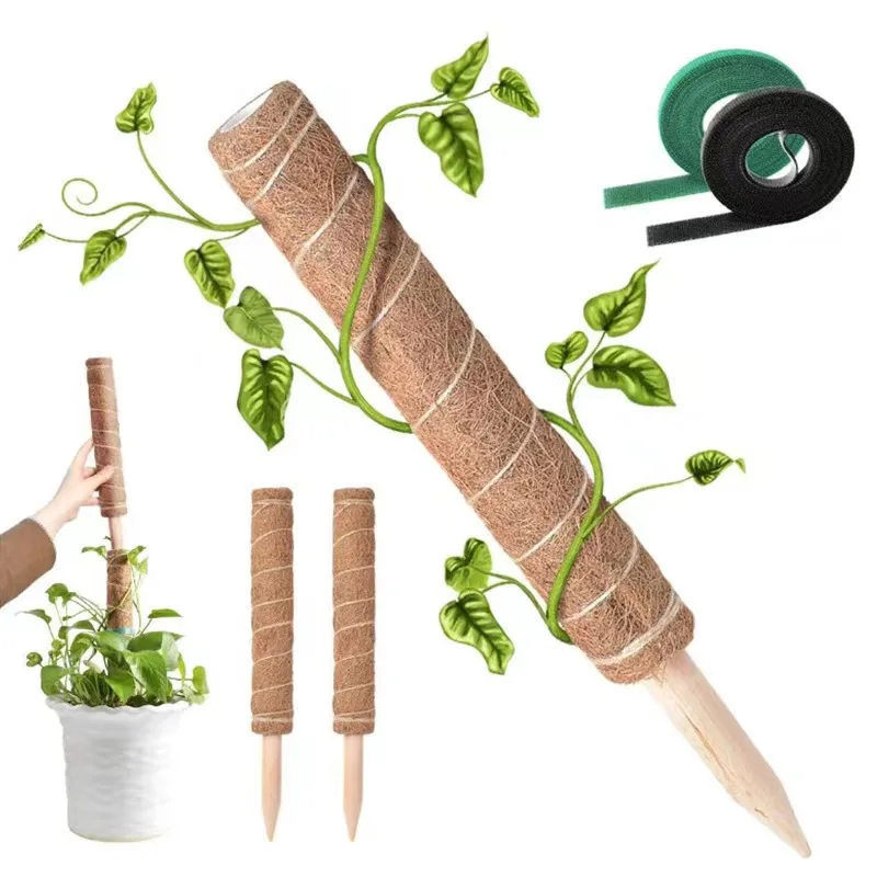 Good Quality 1/2/3/4 Pack Bendable Moss Poles Diy Shape Vine Plants Climbing Plant Support Coco Coir Pole