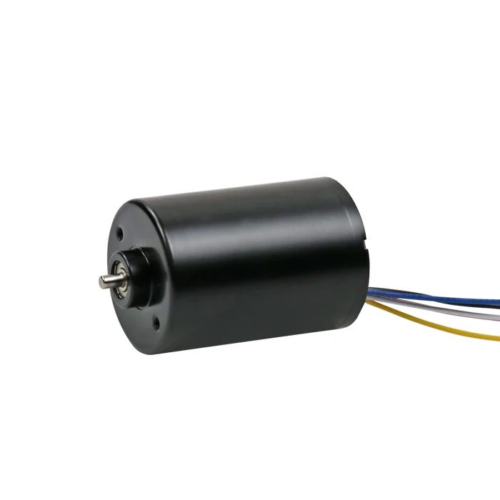 Mini Electric Custom 6/18/24 Volts 3650 High Torque High Performance Brushless DC Motor