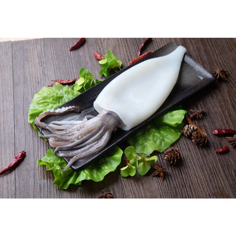 
Good price frozen squid tubes giant squid t+t Frozen bulk squid T+T 