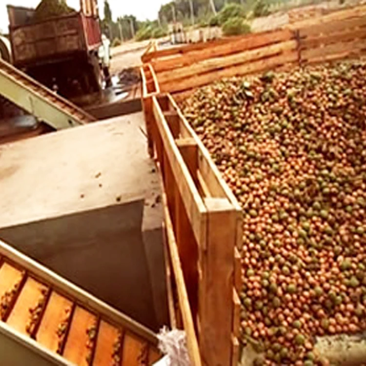 Nuts Roasting Production Line Almond Cashew Hazelnut Peanut Pistachio Sunflower Seeds Roasting Machines Line