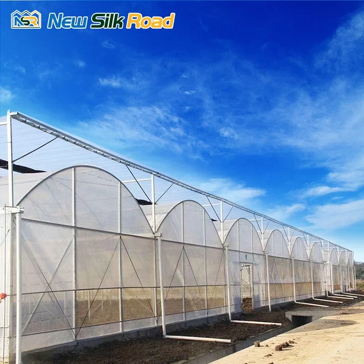 NSR Greenhouse Multi-Span Economical Plastic Tunnel Orangerie Greenhouse For Sale