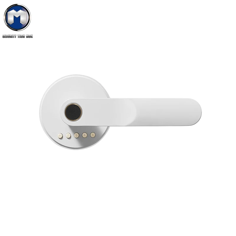 New styles new colors voice prompts durable smart locks door locks