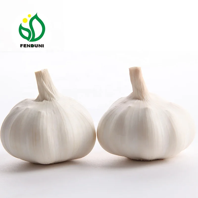 
Supply Fresh Chinese White Garlic New Crop Bawang Putih in Low Price 