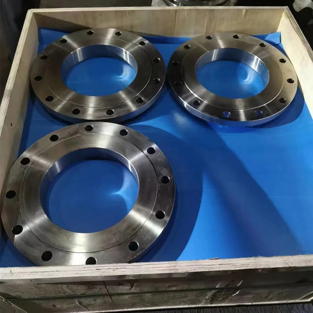 Sale A182 F316l A105 Wnrf Flange 4 Inch Shower Flange 50mm Puddle Flange