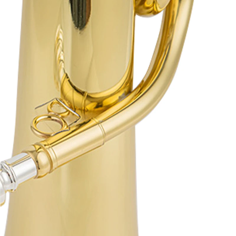 Excellent Intonation Baritones Yamahas YBH-301 Standard Level Musical Instruments for Beginners