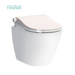 Ce Standard Bathroom Ceramic Smart Toilet Intelligent Bidet Integrated Wall Hang Toilet