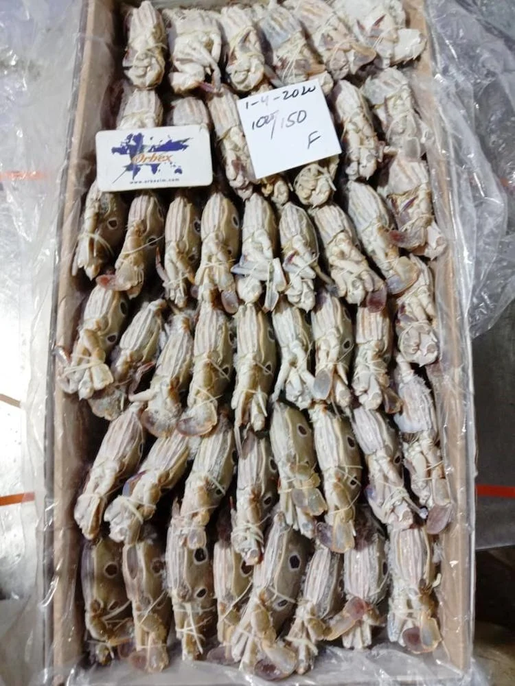 Замороженные три пятнистых краба (доступны разные размеры)