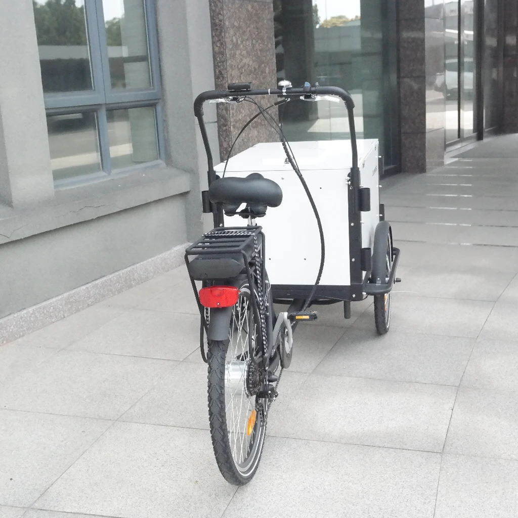 Electric cargo bike ice cream bike with front box loading for sale