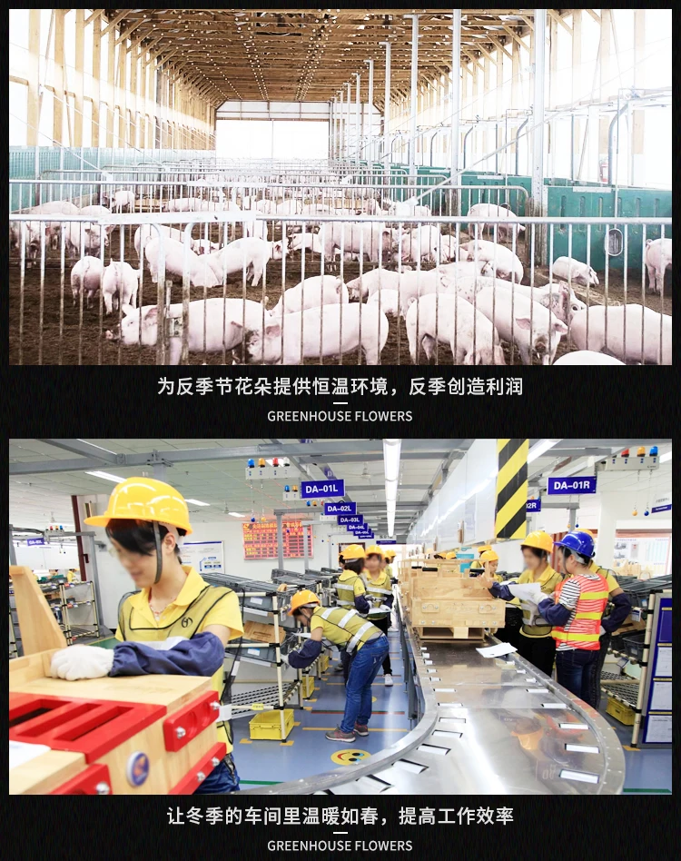 Breeding ground heating chicken brood heating reverse burning coal biomass pellet water heater boiler
