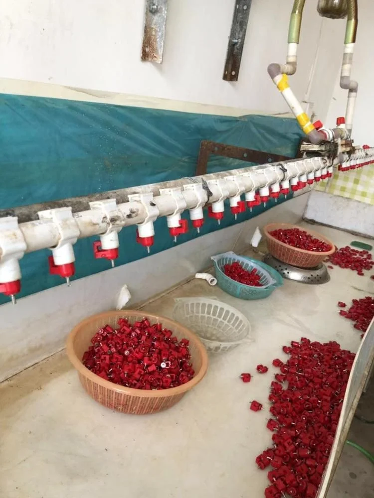 Poultry Stainless Ball valve poultry nipple drinking line poultry farming equipment use