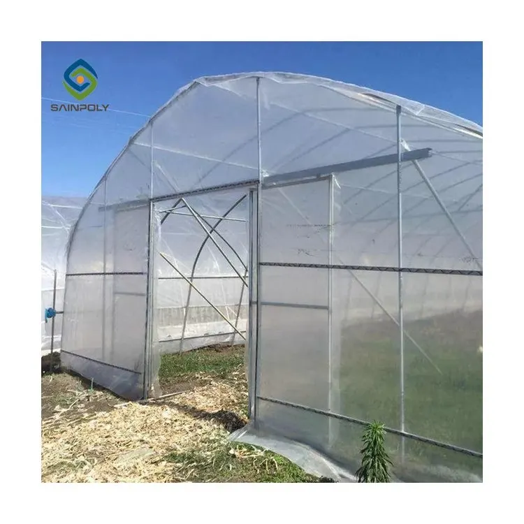 Сельское хозяйство, многопролетная АРКА, пластиковая пленка, теплица для томатов и клубничный парник, проект под ключ