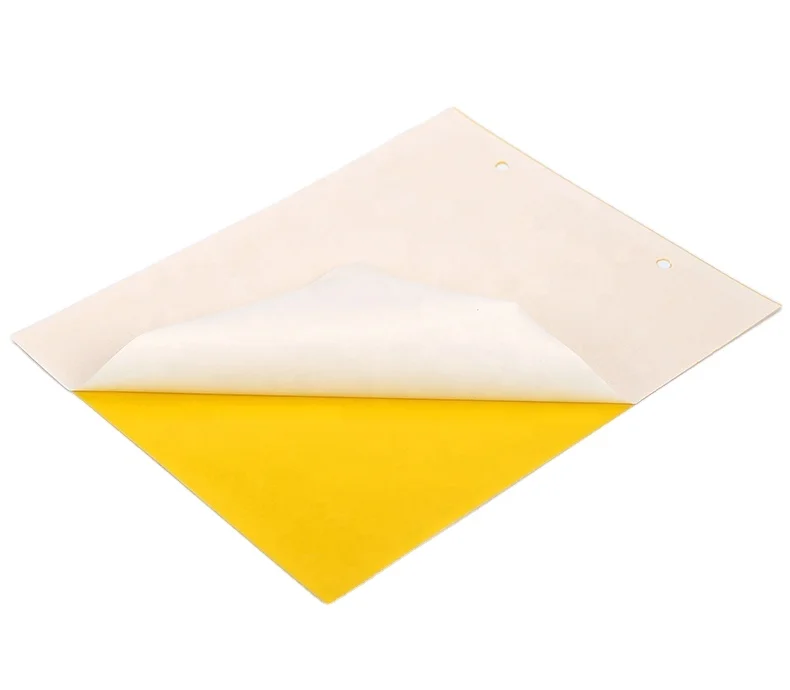 UV resistance yellow glue for insect traps dual-sided glue 20cm by 25cm with release film