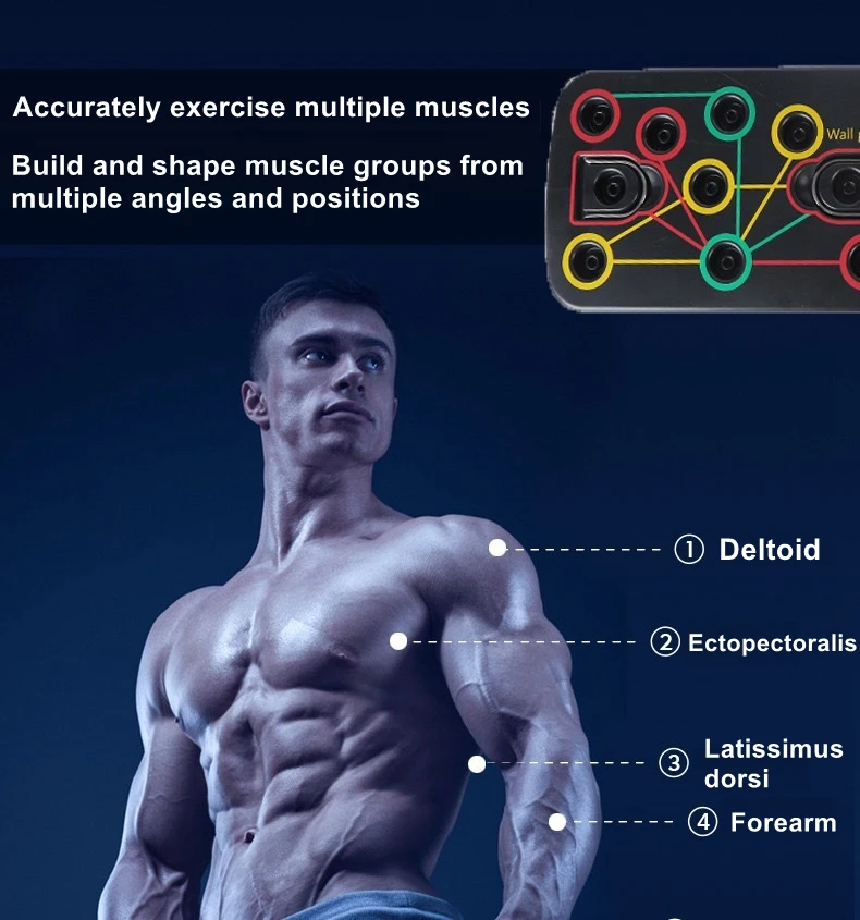 Push Up Board with Resistance Bands Body Building Muscles Training Equipment Gym Fitness Exercise Multifunctional Push Up Board