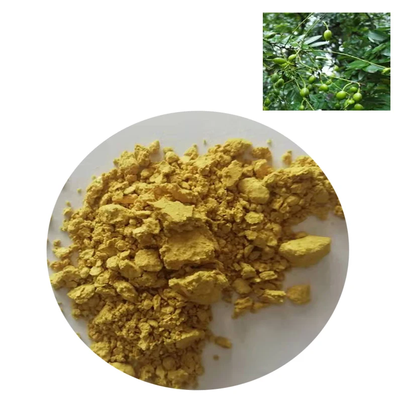 Anti inflammatory   Sophora Japonica Extract Fructus sophorae Extract   Kaempferol 90% 98%   CAS No  117-39-5