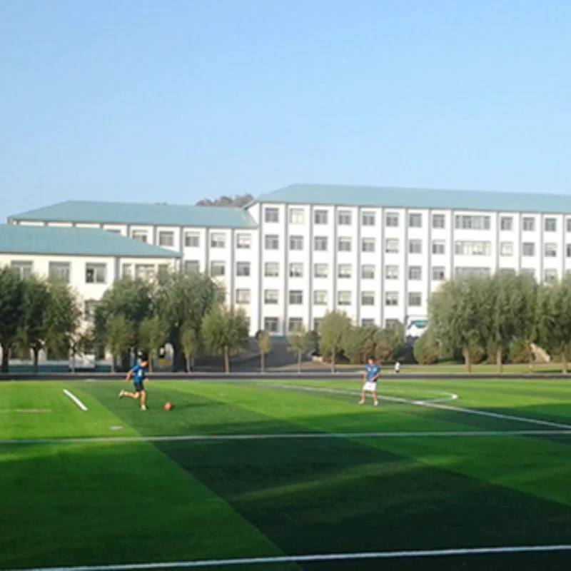 Chinese supplier synthetic grass turf landscaping lawn artificial grass for football field