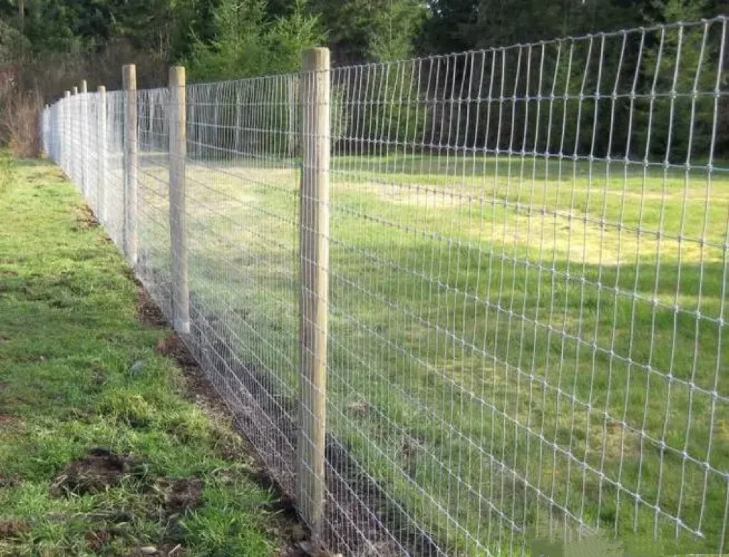 Factory Price High Quality 8ft Height 3 Mm Diameter Galvanized Hinge Knot High Tensile Wire Strainer Fence Used For Cattle