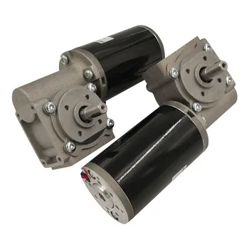 For Medical Device Dual Shaft Bronze Low Speed D63 12v/24v 24 Volt Motor High Torque Dc Worm Gear