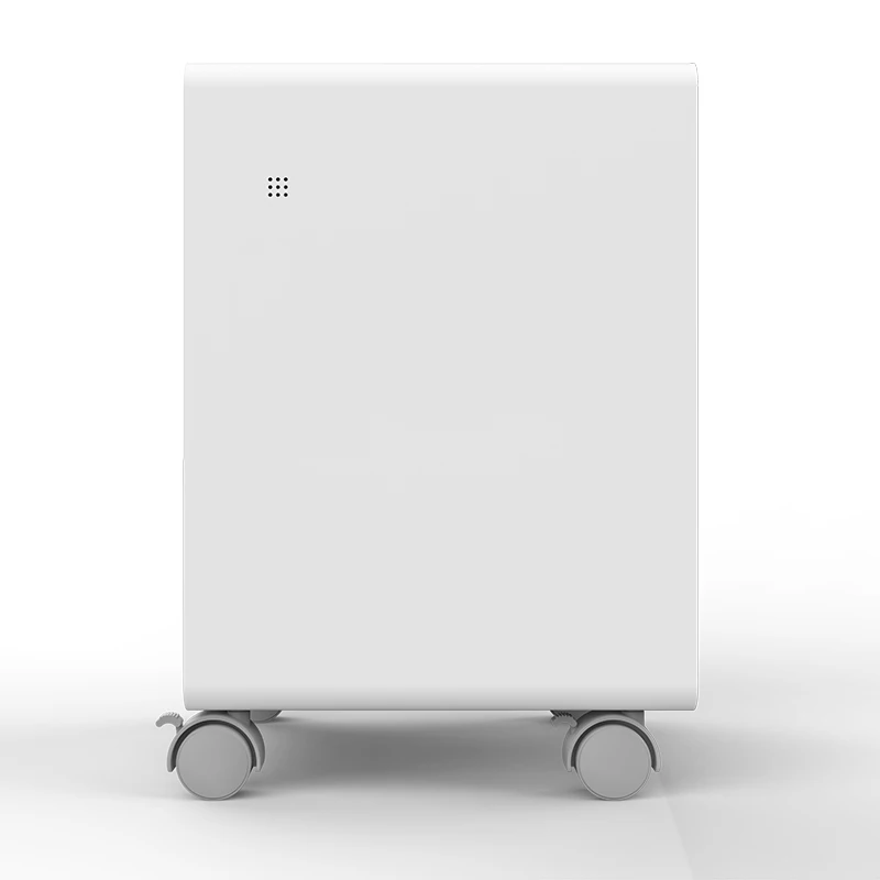 China OEM Manufacturer Hair Odor Removal HEPA Filter Portable Home Pet Air Purifier