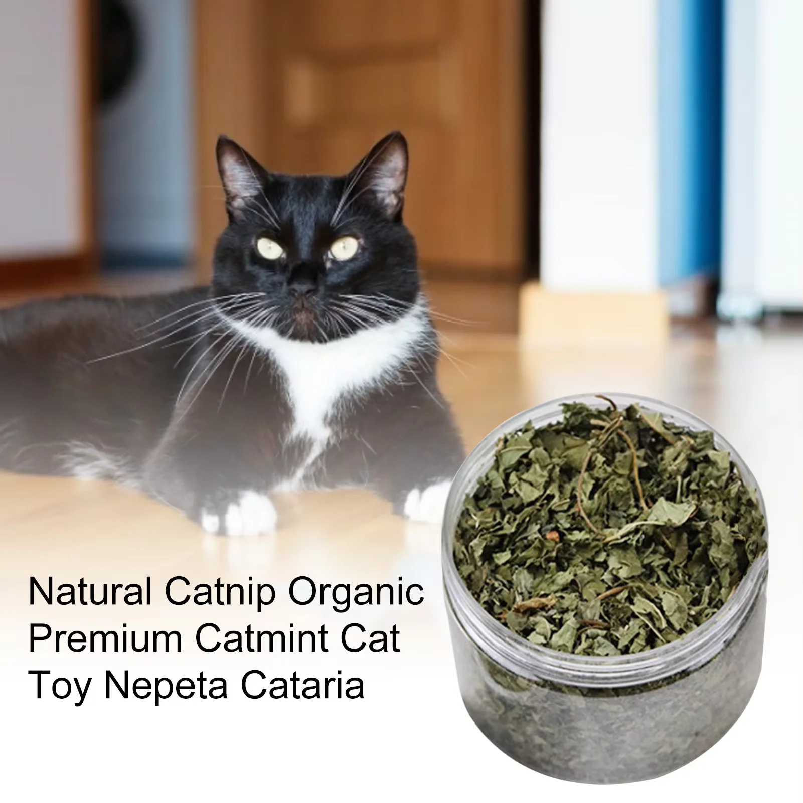 HOT SELLING Organic Natural Catnip Pet Chew Toy Mint Grass Menthol Sprinkled on Kitten Catmint for Cats Supplies