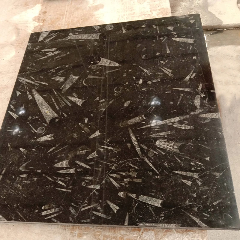 Creative Stone Slab Conch Fossil Black Marble slabs white pattern Black Marble slab for bathroom countertop
