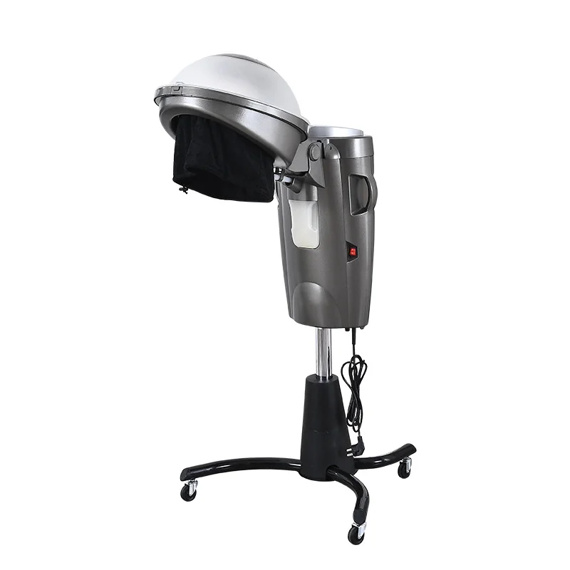 Professional Micro Mist Portable Hair Steamer for Salon Use for Hair Care and Treatment