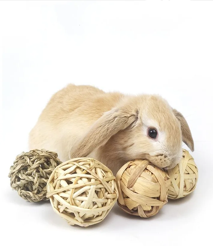 Natural Grass Chew Toy Hamster Chinchilla Squirrel Rabbit Parrot Toy Weaving Bite Ball Rattan Water Grass Pet Toys