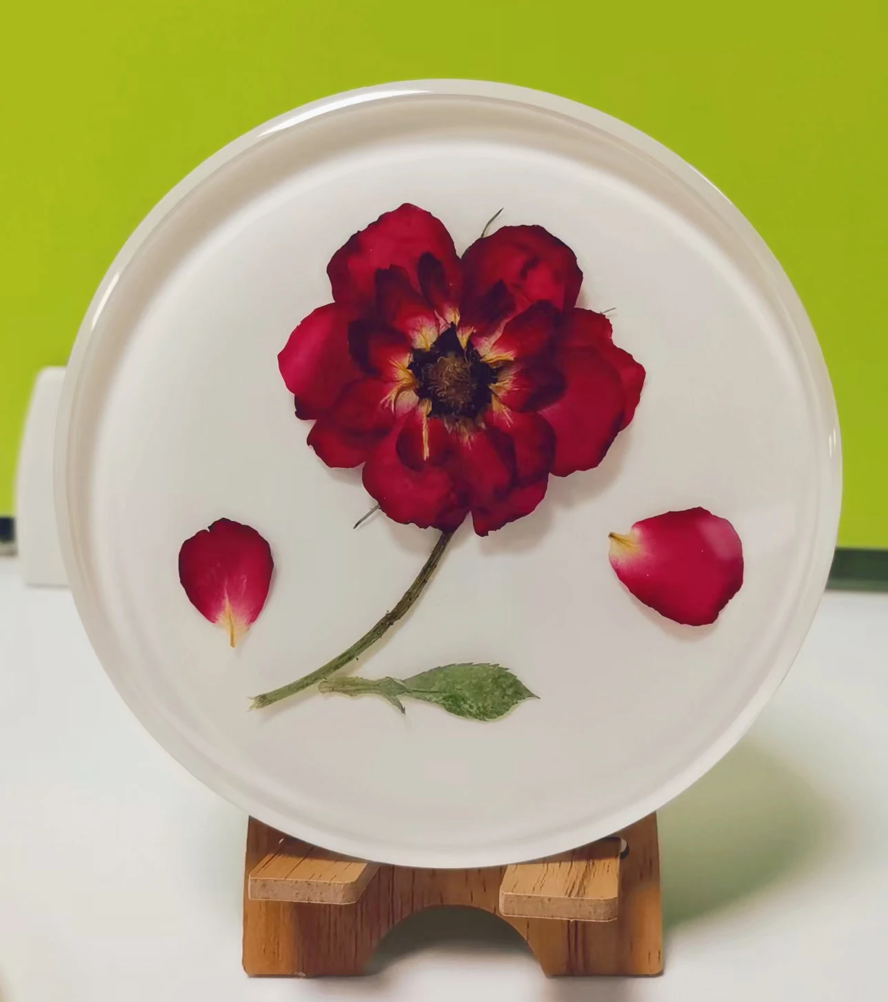 Dried Flower Resin Crystal Crafts Amber Mug Craft Crystal Tea Coffee Cup Coasters Resin Coaster