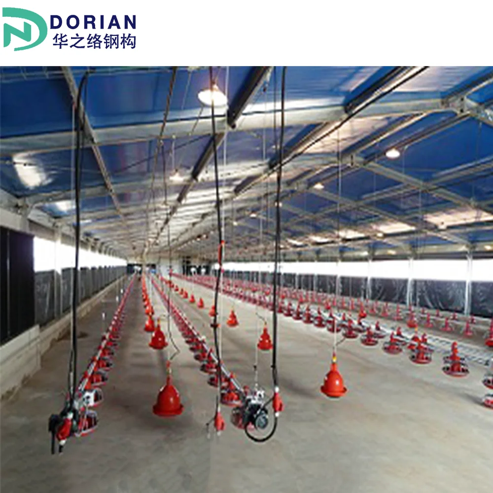 Low Cost chicken house floor poultry farm Designs Prefabricated Steel Structure chicken farm building kit sets nz