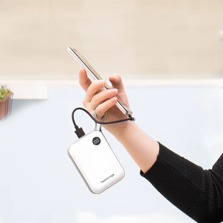 Wholesale High Quality Two-Color Dual Input And Dual Output Digital Display 10000 Mah Power Bank