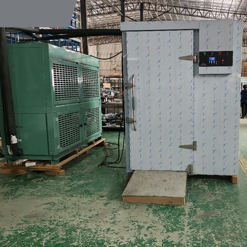 High production Quick Freezer front and back doors design