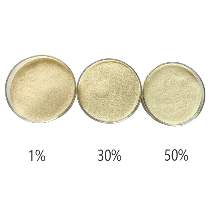 Monk Fruit Extract Luo Han Guo Extract Monk Fruit Sweetener Mogroside V5% V10% V25% V50% Monk Fruit Powder Extract