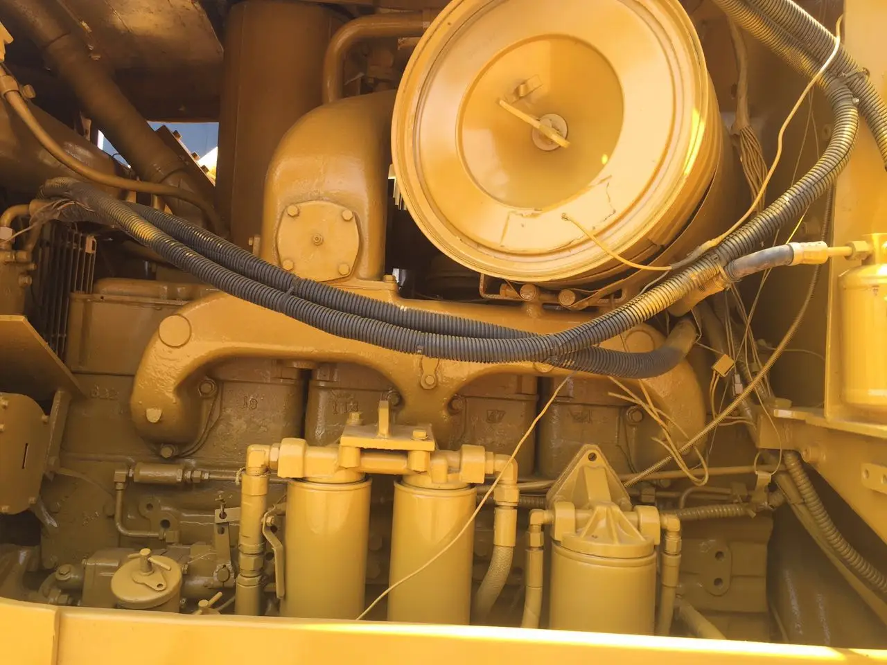 cat d7g (10).JPG