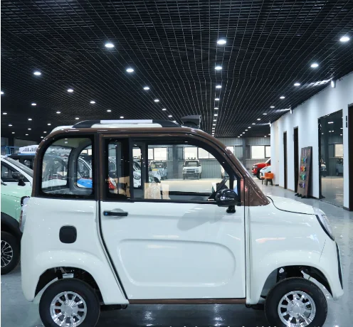 induction motor environmentally friendly electric car cargo limited speed vehicle chargnig hub power train charger part