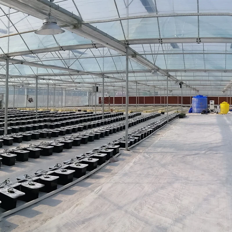 Agriculture Dwc Hydroponic Growing Systems  Deep Water Culture Bucket Hydroponic Bucket