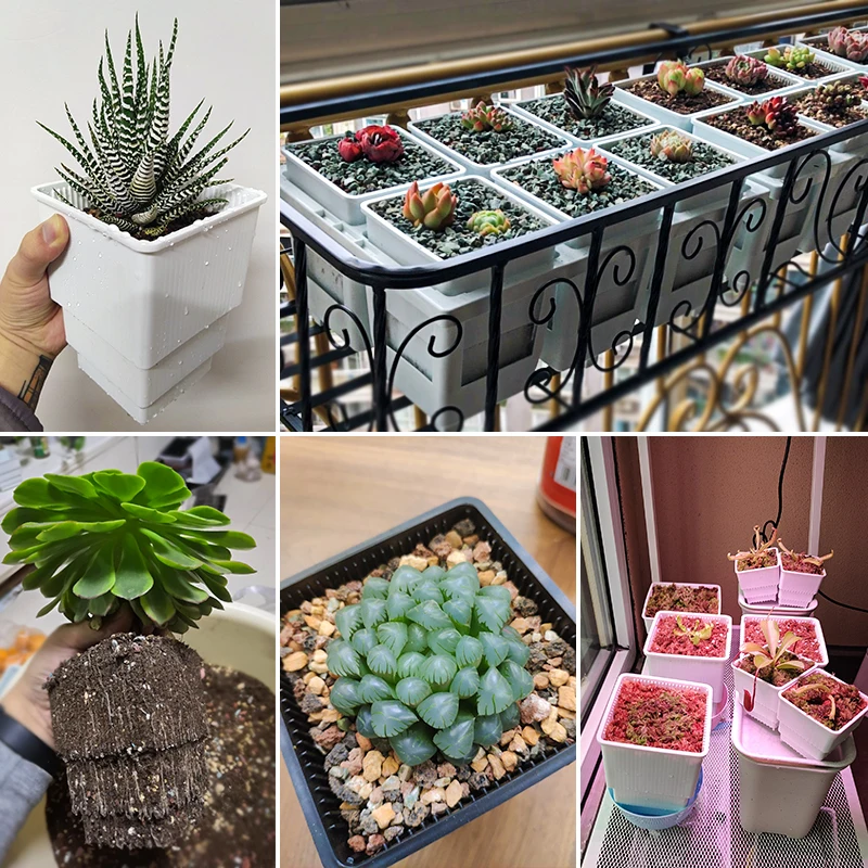 
Windowsill Herb Planter Box Rectangular Indoor Garden for Kitchens Grow Plants Flowers or Succulents 