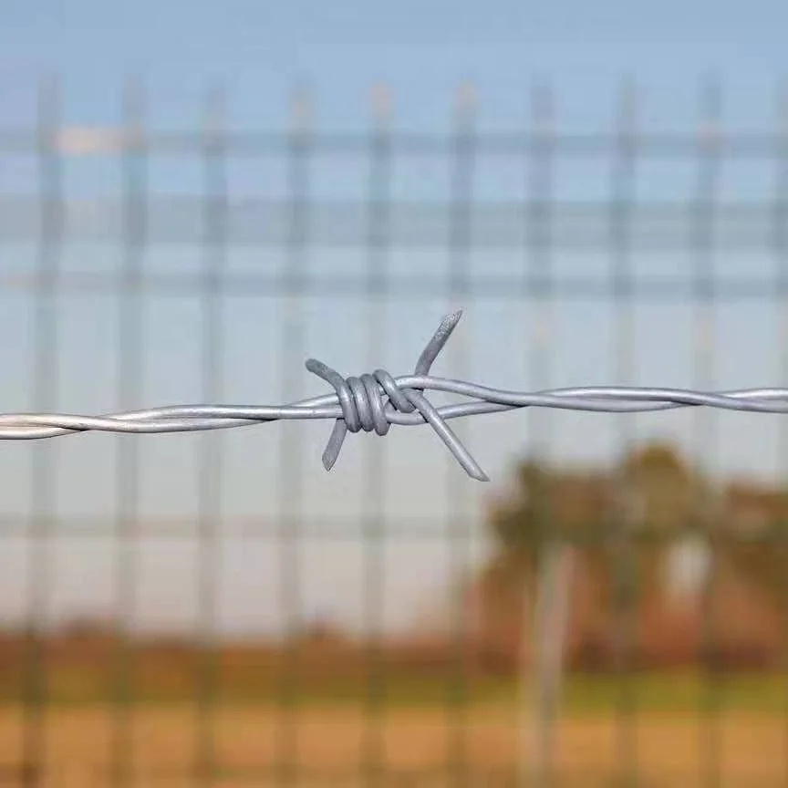 Factory Direct Sales prison barbed wire fencing Hot Dipped Galvanized Military Bulk Barbed Wire