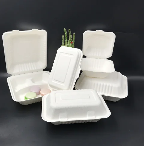 900ml Compostable Sugarcane Bagasse 2 Compartment Biodegradable Take Out Food Containers Clamshell For Lunch