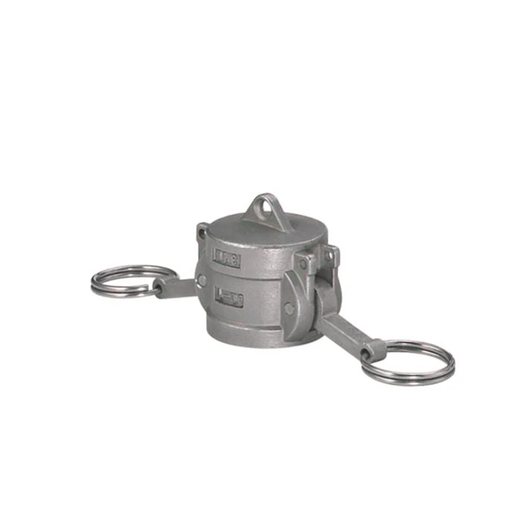 Stainless Steel DC Type Camlock Coupling Industrial Pipe Plugging NPT Carbon Steel Head Plastic Connectors Directly Manufactured