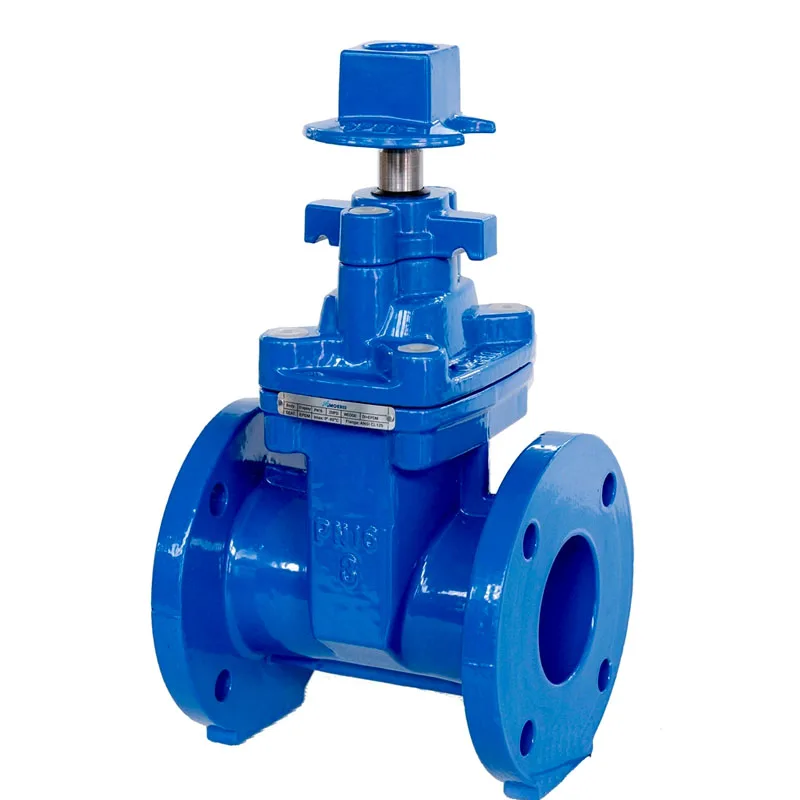 Ductile Iron Flanged NRS Resilient Wedge Gate Valve