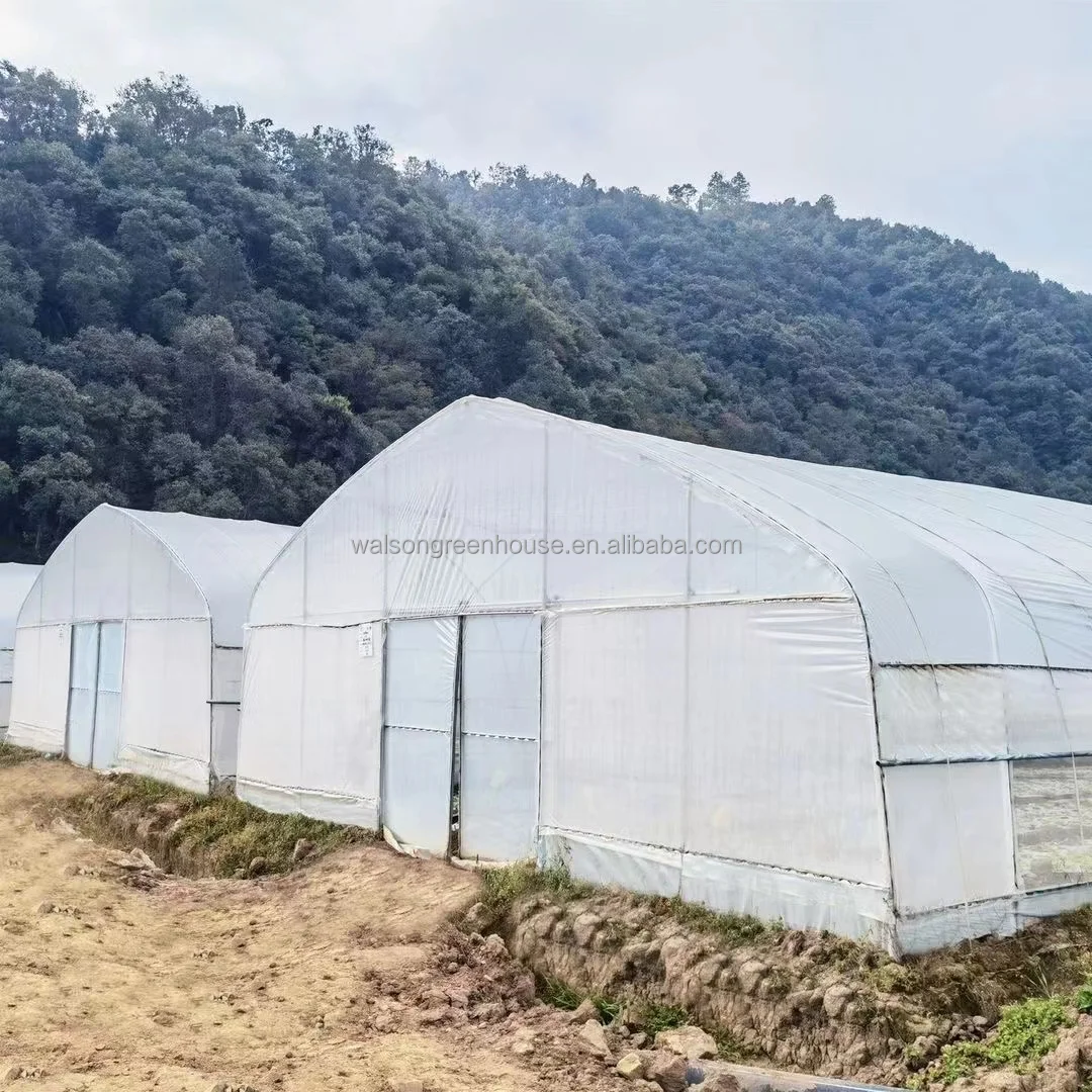 Film Tunnel Vegetable Seeds Tomato Greenhouse Agricultural Single Span Steel greenhouse