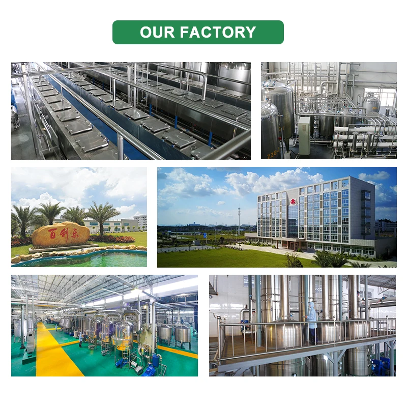 Factory Supply Bulk Hot Selling Organic Monk Fruit Extract Pure Powder Mogroside V 13.5% Monk Fruit Extract Powder