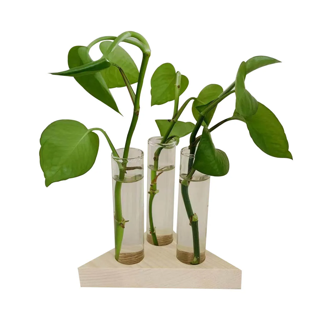desktop triangle wooden stand with glass planter test tube holder