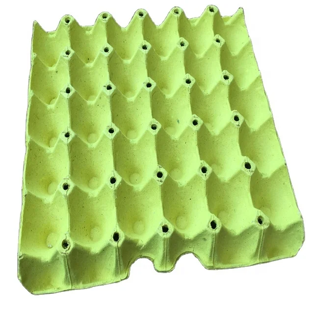New products pulp molded tray  30 holes empty egg cartons for sale