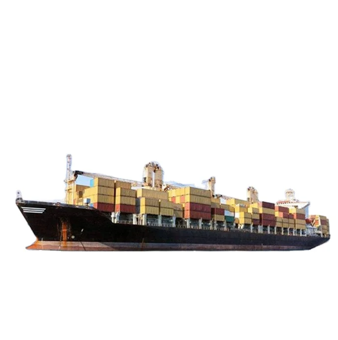 Door To Door Sea Freight Shipping Agent From China Shipment To Czech Republic