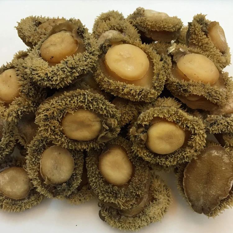 Hot-selling Nutritious Fresh Live Shellfish Dried