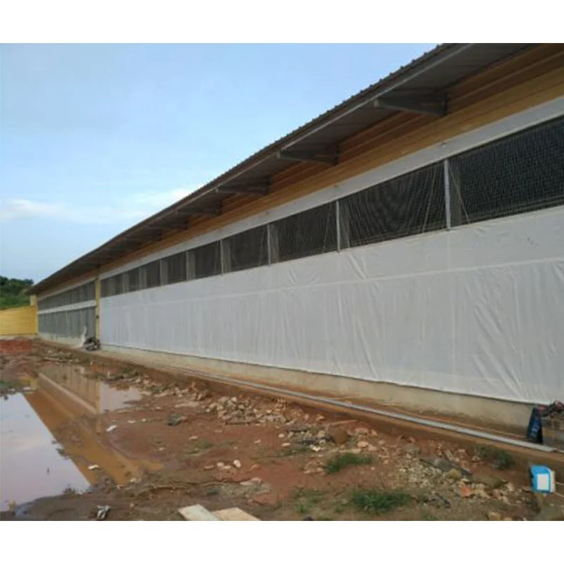 Китай низкая стоимость стальная рама куриный слой размножение уток Фермерский домик сараи для птицефермы