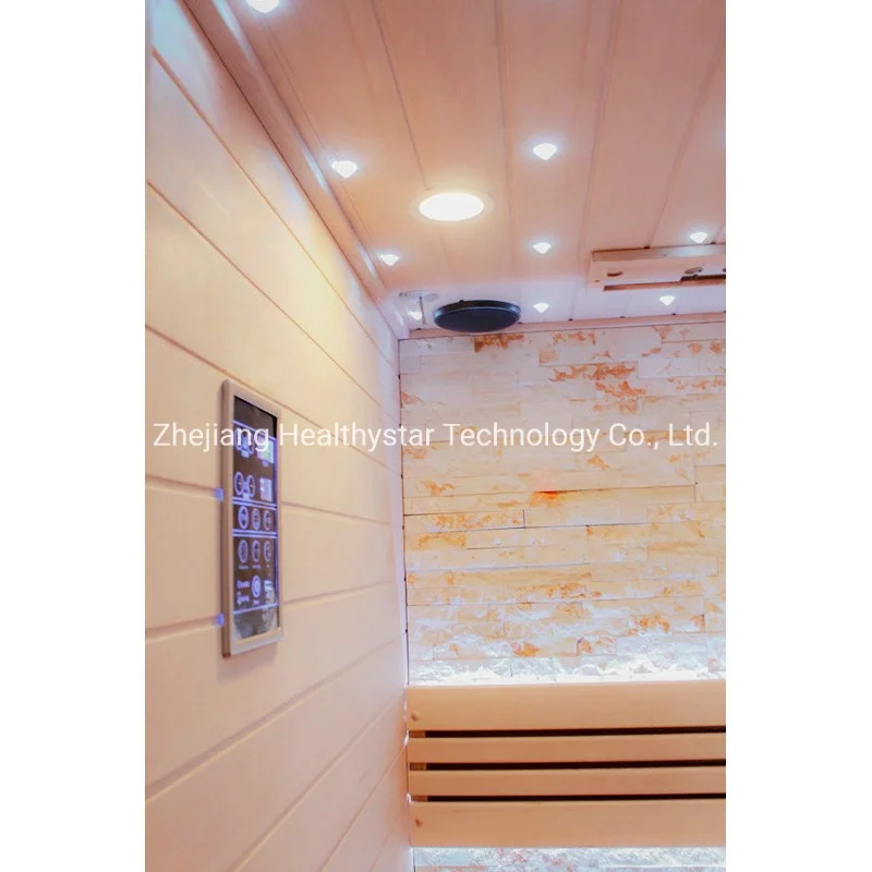 Double Bench Electric Steam Combined Sauna with Stone