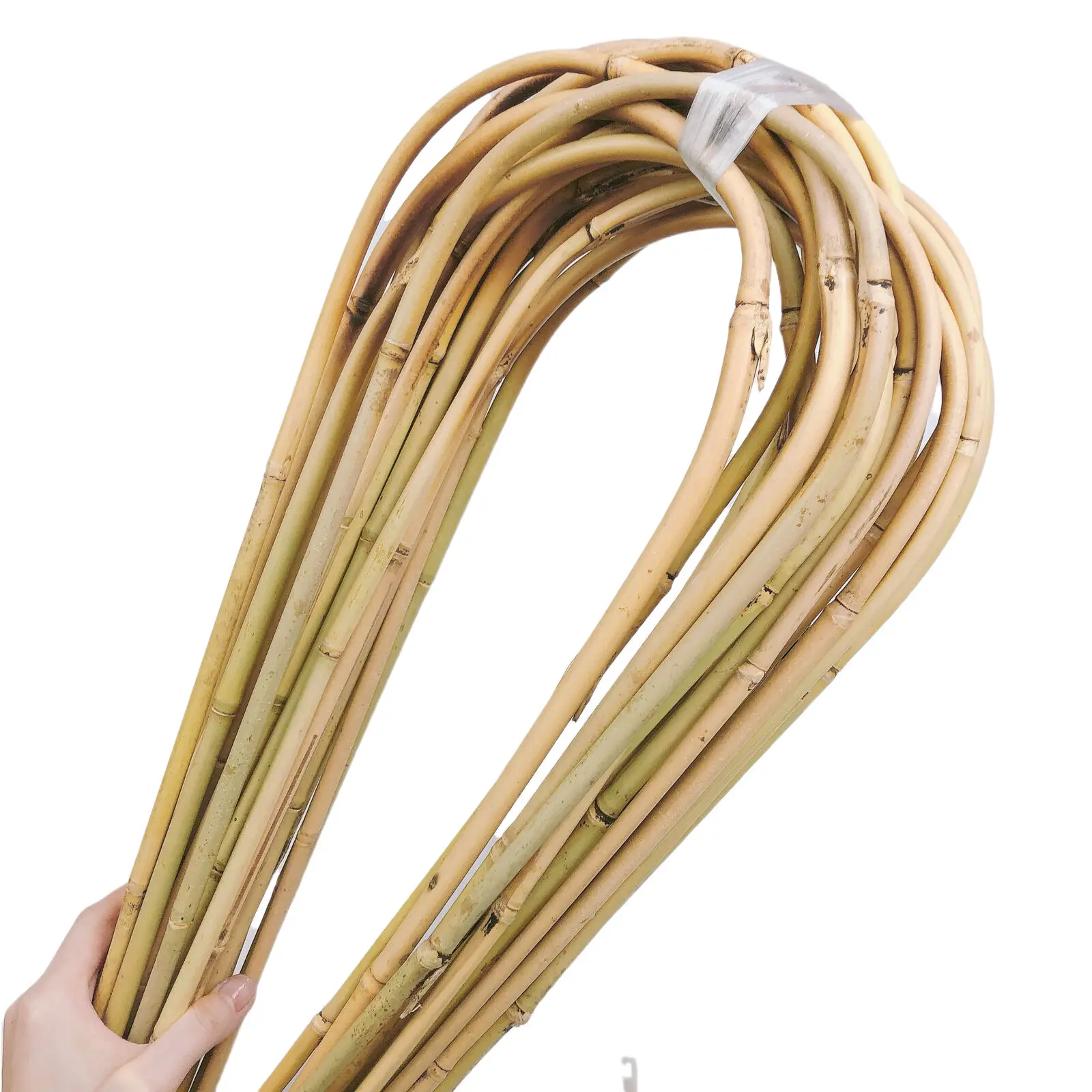 U shape bamboo canes bamboo Plant support and decoration garden plant 48cm/60cm